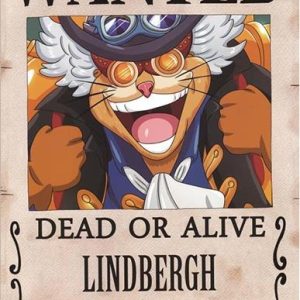 Poster Wanted Lindbergh
